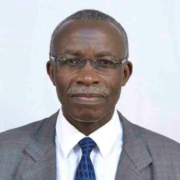 Mr. Amadeus Kamagenge
